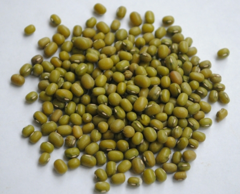 Mung Bean