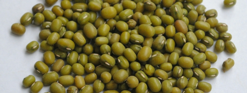 Mung Bean