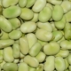 Faba Beans