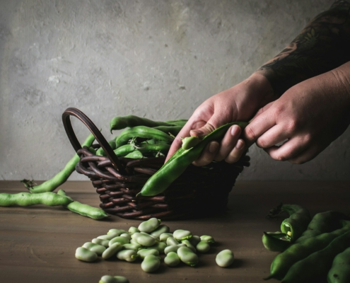 Faba Beans