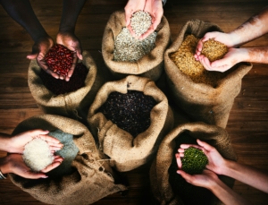 Simple Tests for Checking Seed Quality at Home