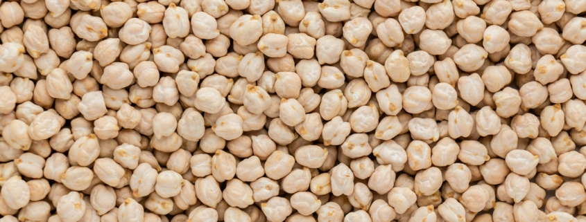 Chickpea
