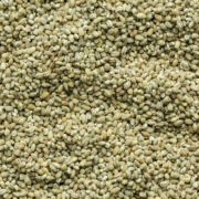 Mung Bean