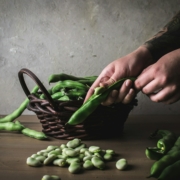 Faba Beans