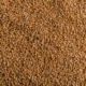 Wheat Seed