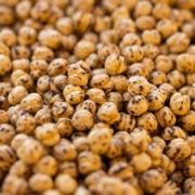 Chickpea Seeds