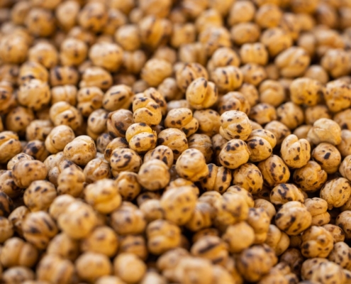 Chickpea Seeds