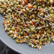 Mung Beans