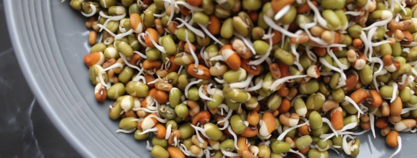 Mung Beans