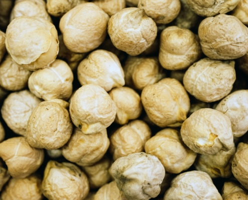 Chickpea