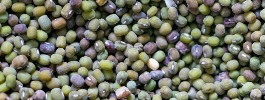 Mung Beans