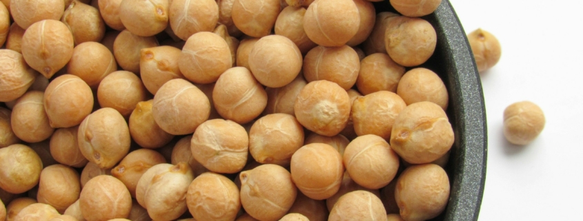 Chickpea