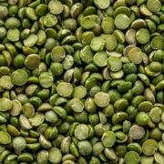Faba Bean Seeds