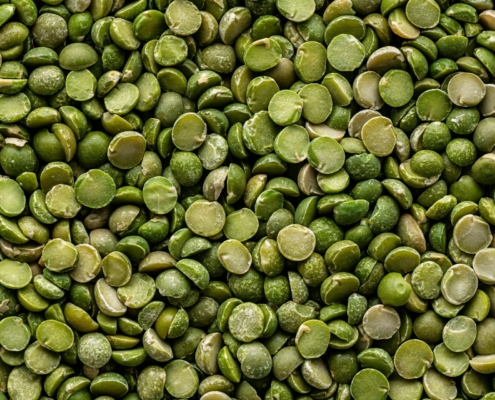 Faba Bean Seeds