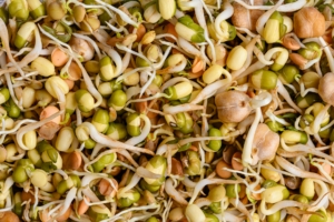 The Science Behind Mung Bean Seed Development