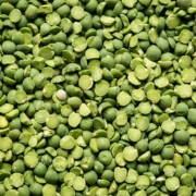 Faba Bean Seeds