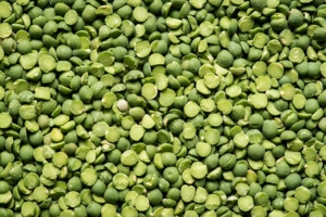 Effective Storage Solutions for Faba Bean Seeds