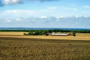 How Solar Power Is Changing Energy Use on Grain Farms