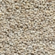 Barley Seed
