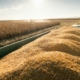 Grain Supplier