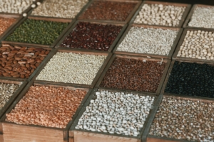 How Smarter Seed Choices Lift Grain Quality and Returns