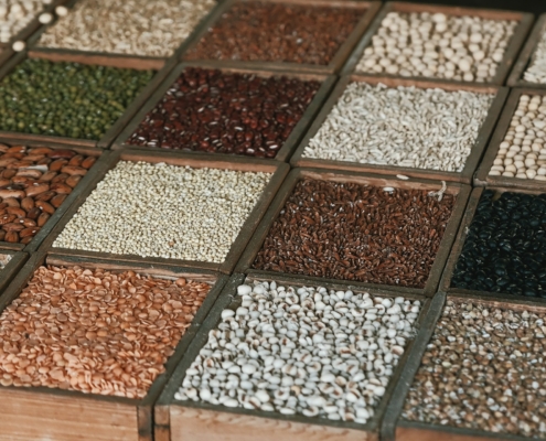 Seeds