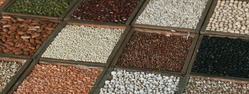 Seeds