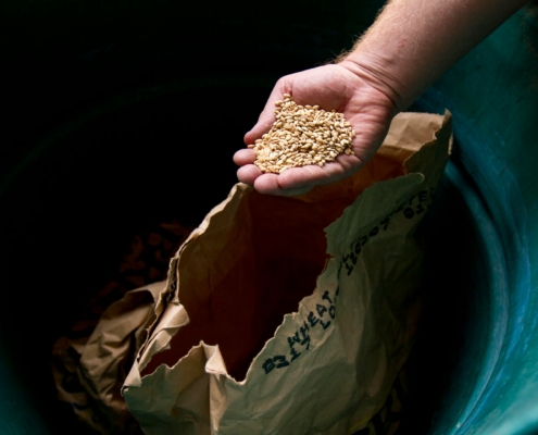 Seed Suppliers