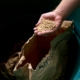 Seed Suppliers