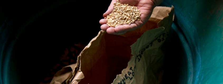 Seed Suppliers