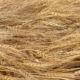 Wheat Variety