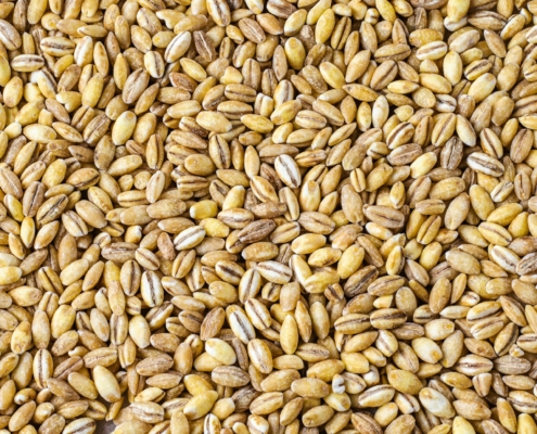 Grain