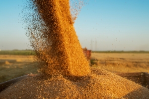 Do Grain Traders Understand Shifting Buyer Needs in 2026?