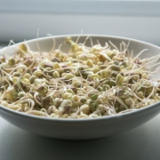 Mung Bean Sprout