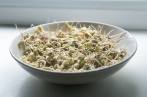 When to Use Mung Bean Sprout Seeds After Cold Exposure