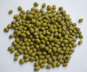 Why Timing Matters When Ordering Mung Beans for Spring